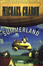 <span class='translatable' lang='Cover of '{[title]}''>Cover of 'Summerland'</span>
