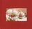 Cover of Happy Cat