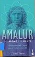 Cover of Amalur
