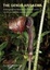 Cover of The Genus Arisaema