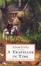 Cover of A Traveller in Time