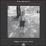 Cover of Della fotografia trasgressiva
