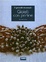 Cover of Gioielli con perline