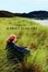 Cover of "A Swift Pure Cry"