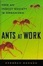 Cover of Ants At Work