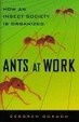 Cover of Ants At Work