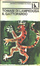 Cover of Il Gattopardo