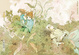 Cover of 二聲春秋 上卷