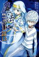 Cover of 魔法禁書目錄 13