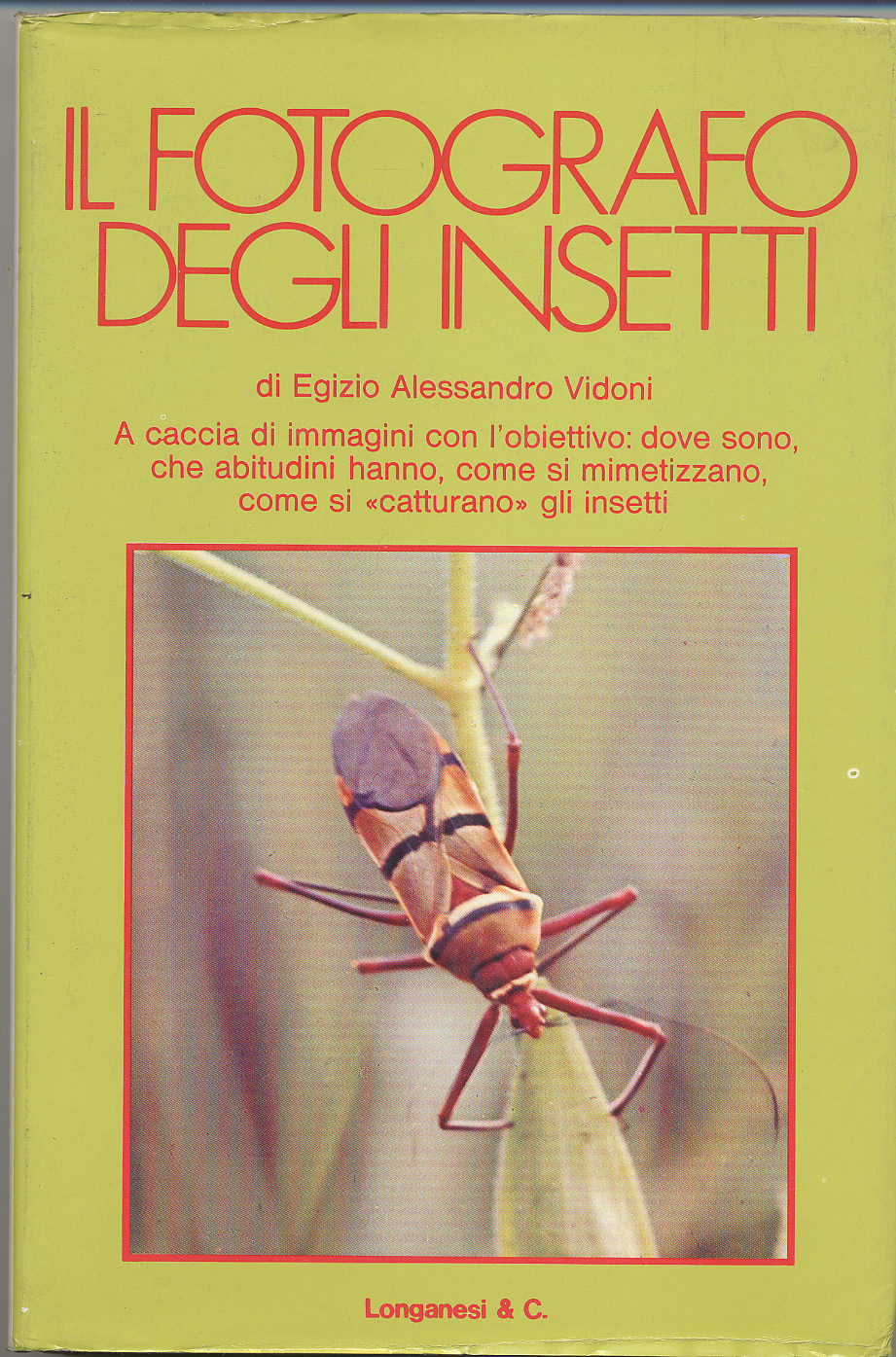 Image of Il fotografo degli insetti