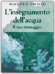 Cover of L' insegnamento dell'acqua