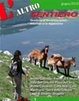 Cover of L'altro sentiero