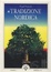 Cover of Tradizione nordica