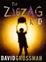 Cover of Zigzag Kid