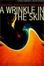 Cover of "A Wrinkle in the Skin"