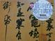 Cover of 蒼涼的獨白書寫