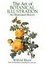 Cover of The Art of Botanical Illustration