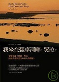 我坐在琵卓河畔，哭泣。