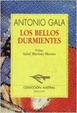 Cover of Los bellos durmientes