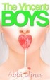 Cover of The Vincent Boys
