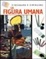 Cover of "La figura umana"