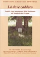 Cover of Là dove caddero