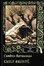 Cover of Cumbres borrascosas