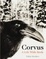 Cover of Corvus