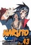 Cover of Naruto, Volume 43