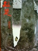 Cover of 殺楚