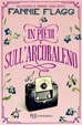 Cover of In piedi sull'arcobaleno