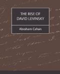 The Rise of David Levinsky