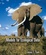 Cover of Models for Ecological Data