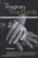 Cover of The Imaginary Time Bomb