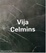 Cover of 'Vija Celmins'