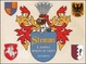 Cover of Stemmi. L'araldica spiegata ai ragazzi