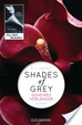 Cover of Shades of Grey - Geheimes Verlangen