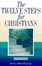 Cover of The Twelve Steps for Christians