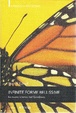 Cover of Infinite forme bellissime