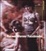 Cover of Rainer Werner Fassbinder