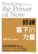 Cover of 修練當下的力量