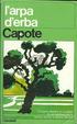 Cover of L'arpa d'erba