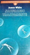 Cover of Naufragio trasparente