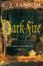 Cover of "Dark Fire"
