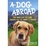 Cover of A Dog Abroad
