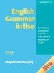 Cover of English Grammar In Use without Answers