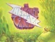 Cover of The Hermit Crab