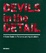 Cover of Devils in the Detail