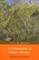 Cover of "A Stranger at Green Knowe"