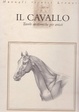 Cover of Il cavallo - Tavole anatomiche per artisti